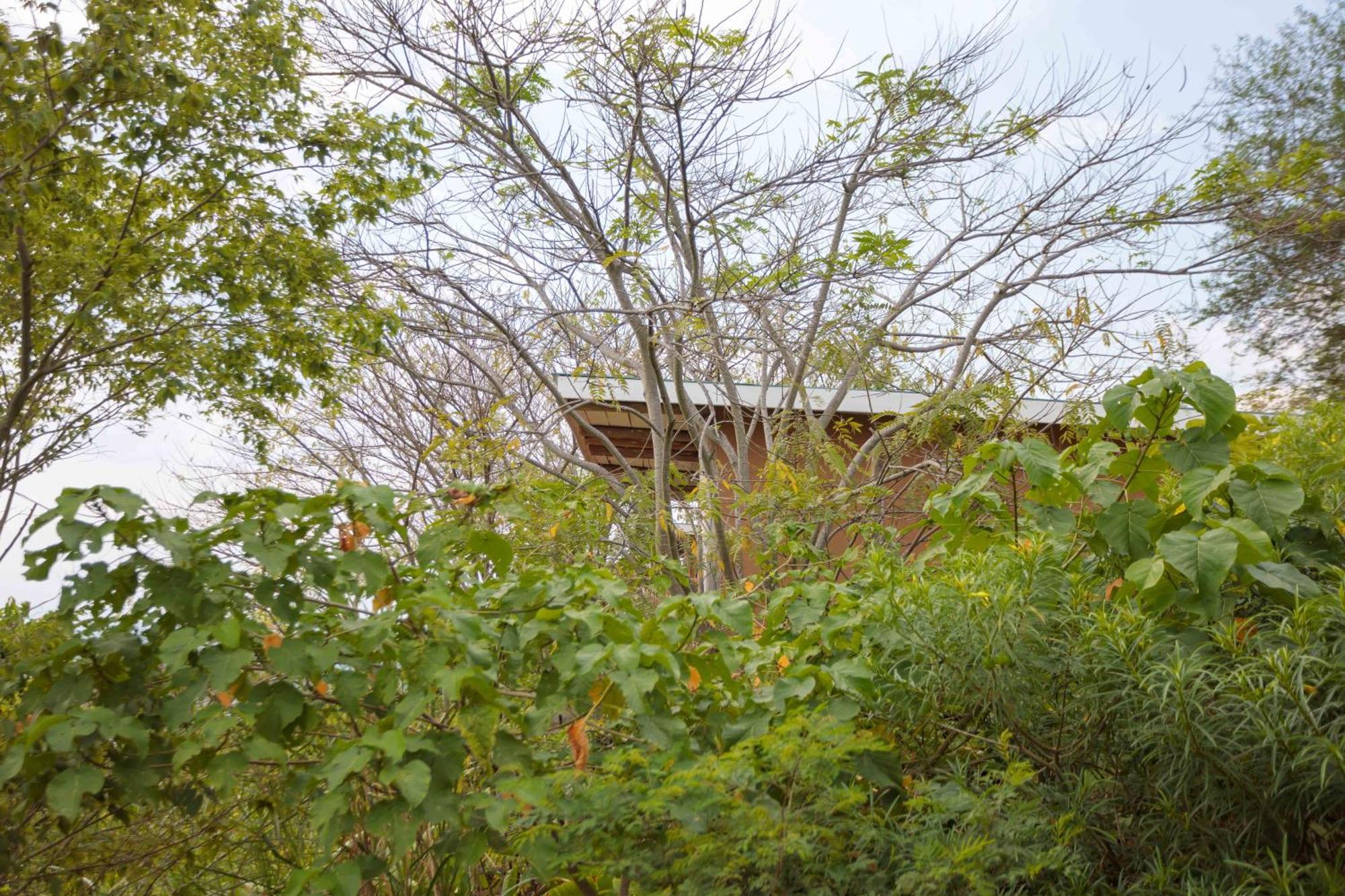 Lake Mwamba Lodge Kasenda Bagian luar foto
