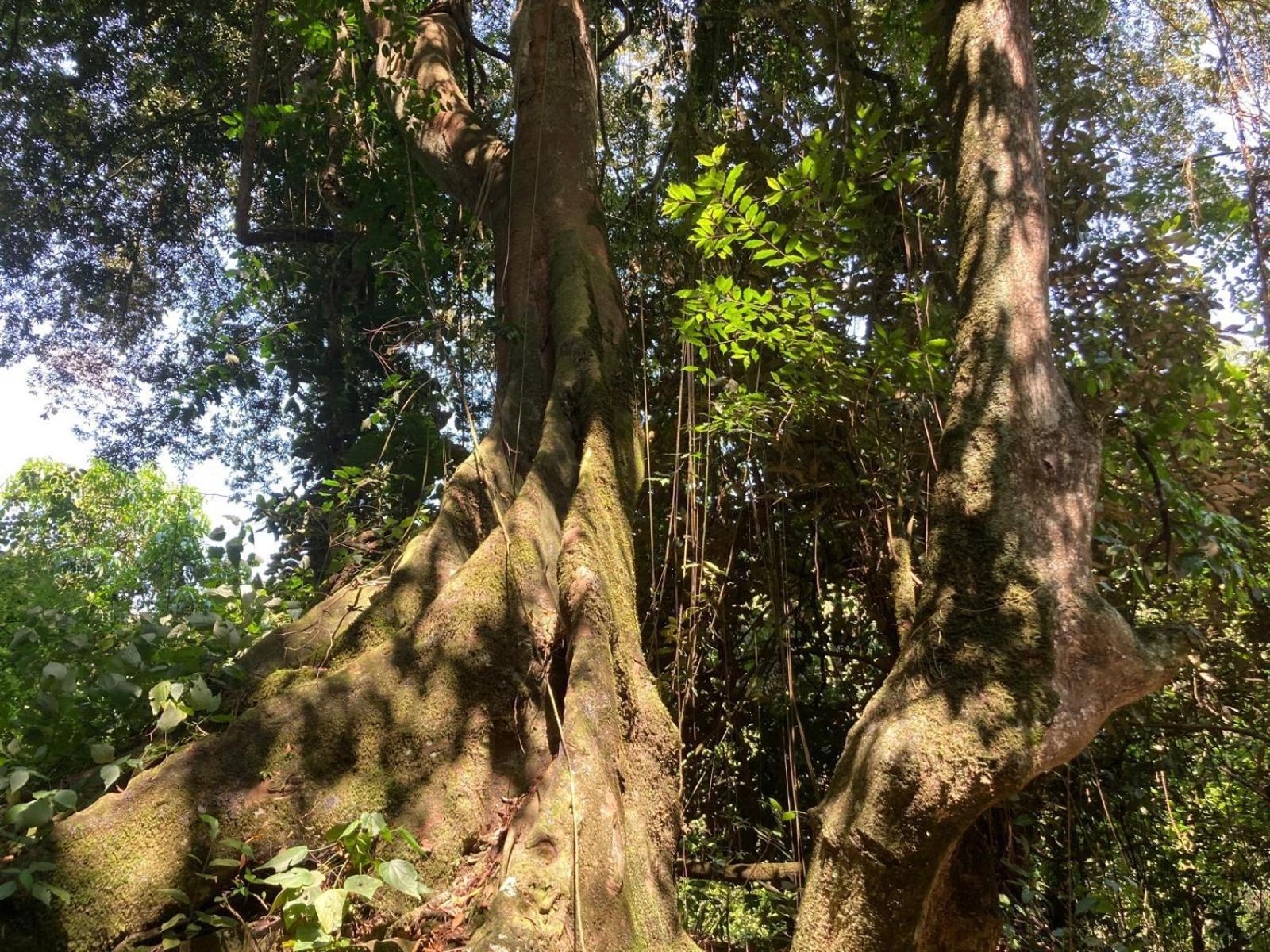 Lake Mwamba Lodge Kasenda Bagian luar foto